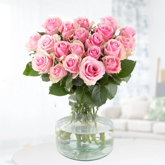 Blush Pink Roses