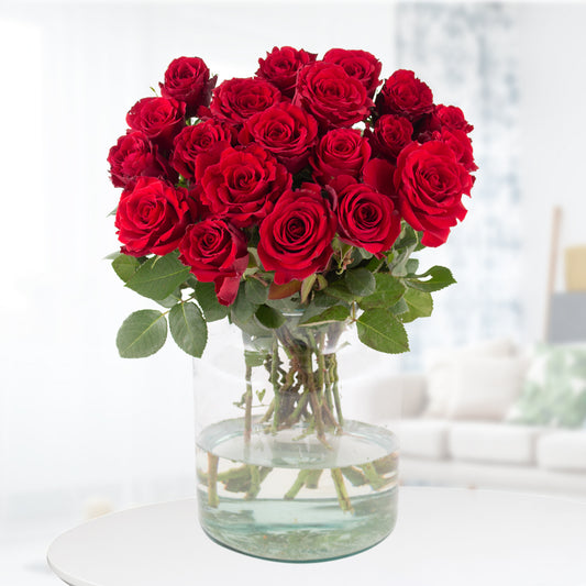 Mesmerizing Red Roses