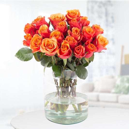 Passionate Orange Roses