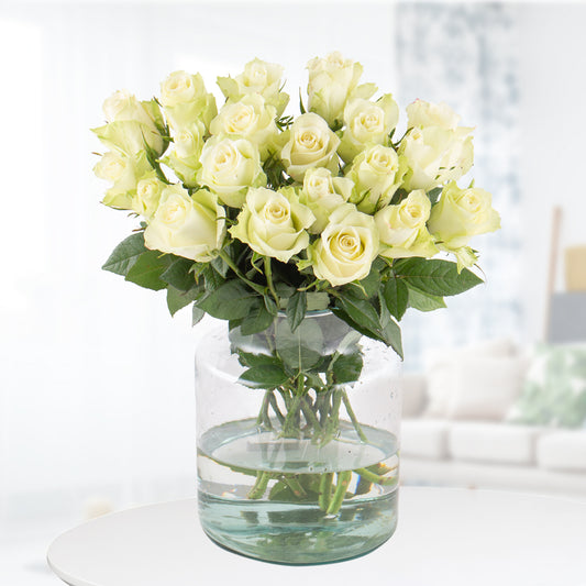 Pure White Roses