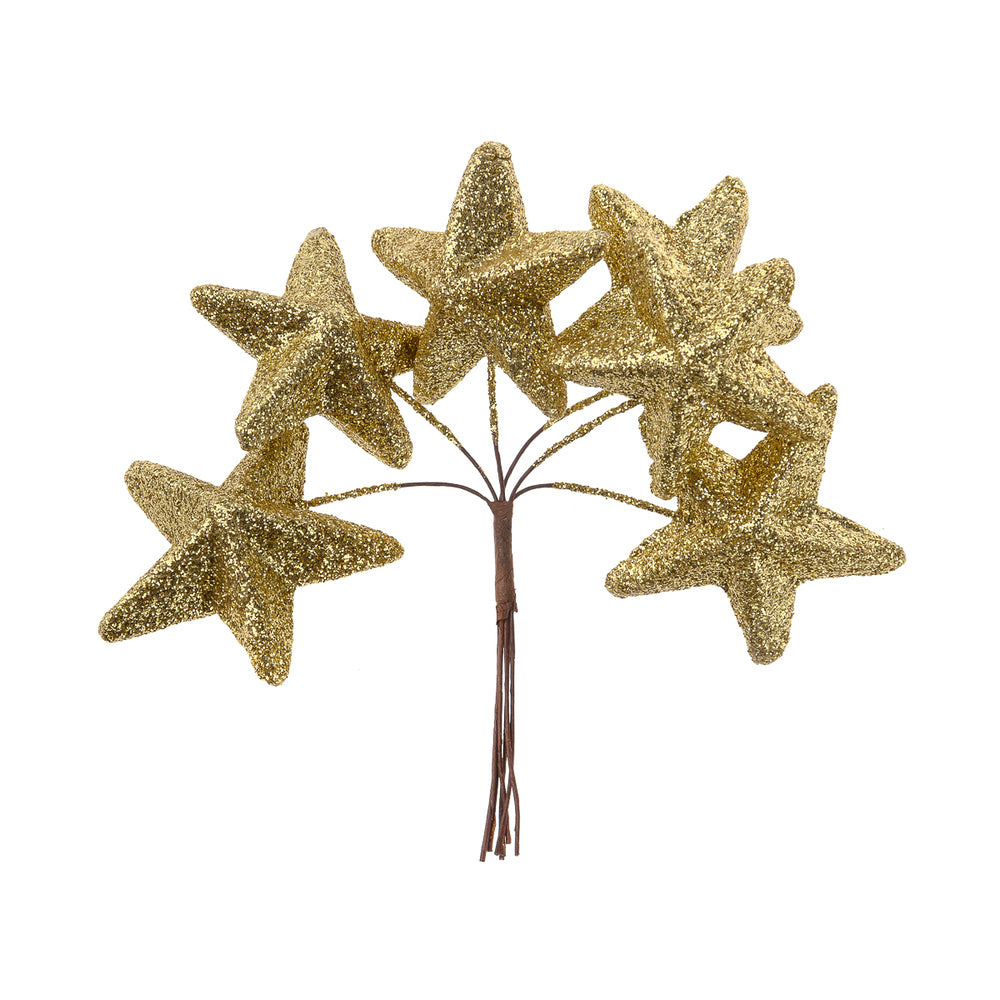 Gold Star pick, 6pcs